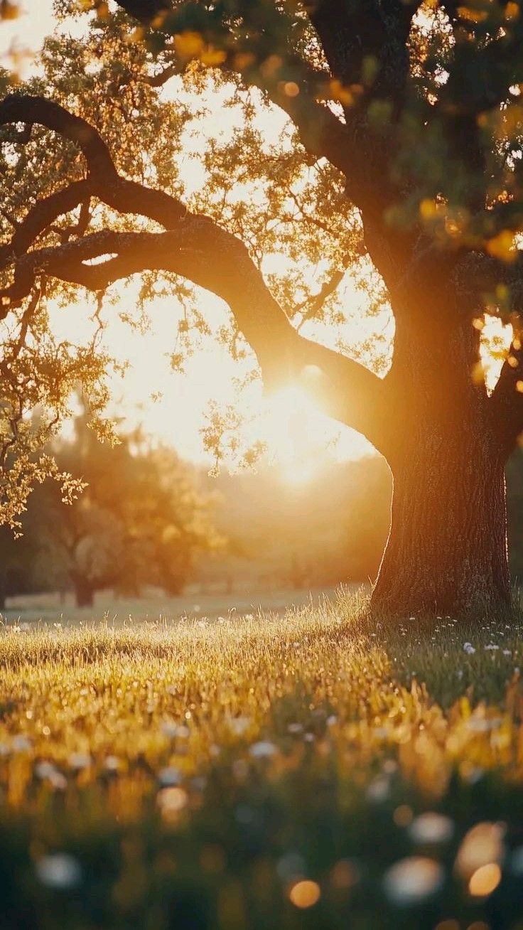 Surviving Depression: Finding Hope Through Mind, Body, and&nbsp;Spirit